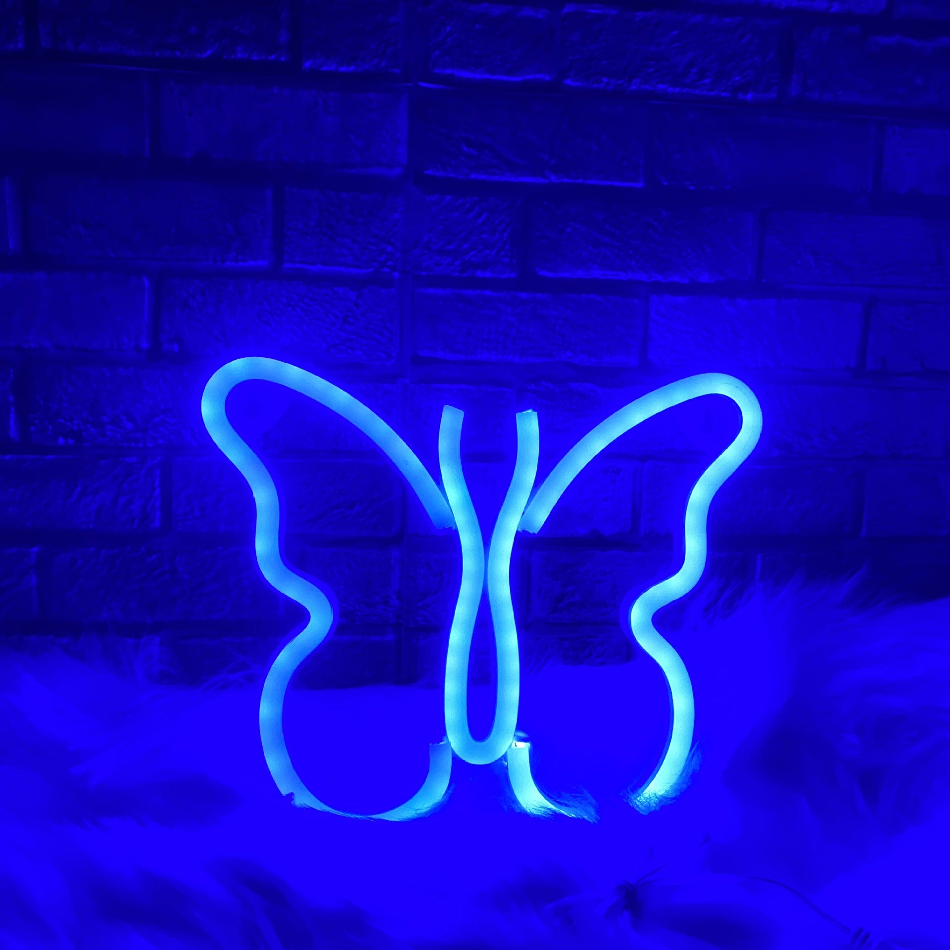 Butterfly Neon Light