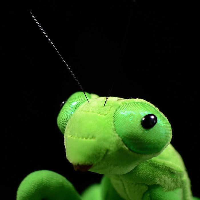 Mantis Plush