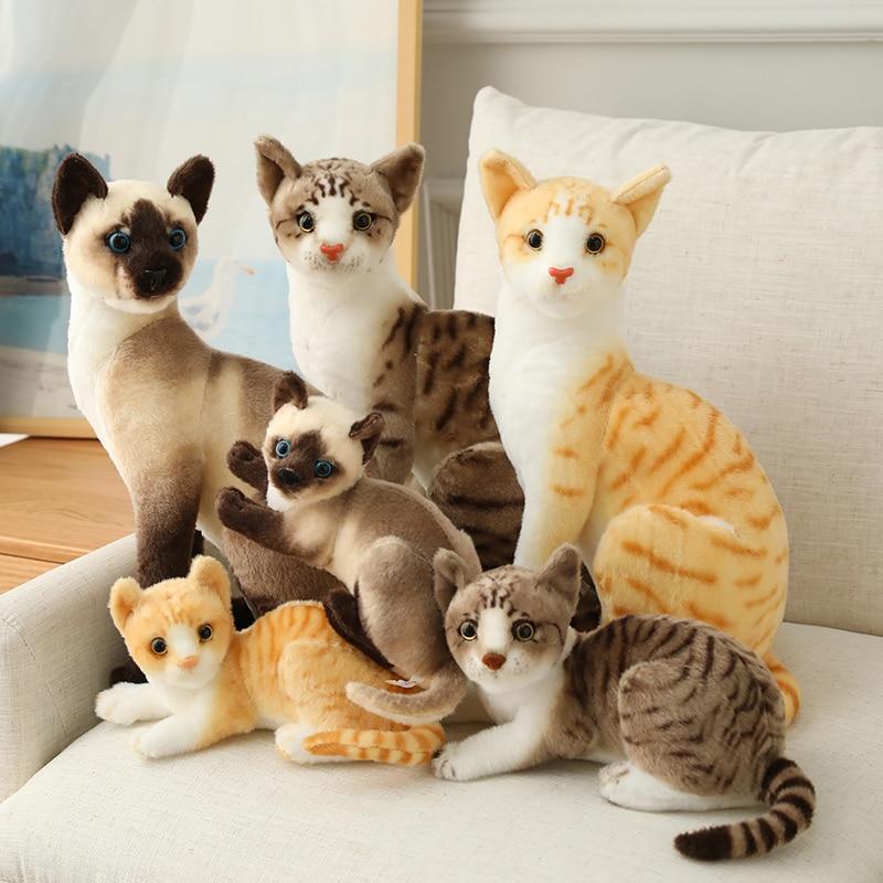 Cat Plushies