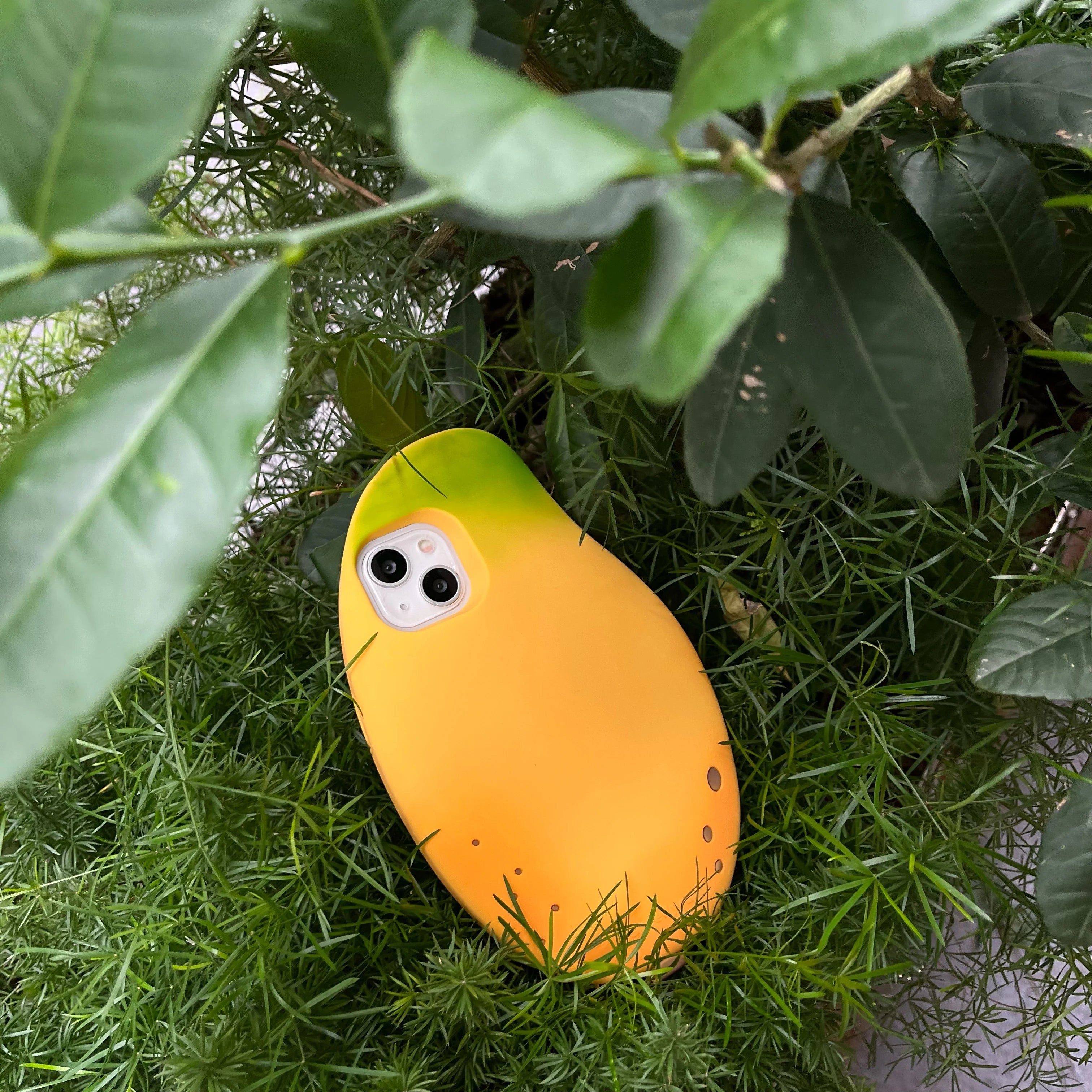 Fruit Mango Phone Case
