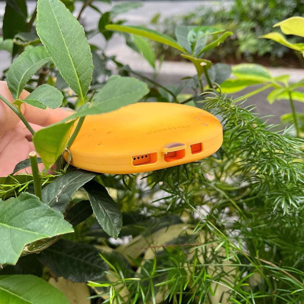 Fruit Mango Phone Case